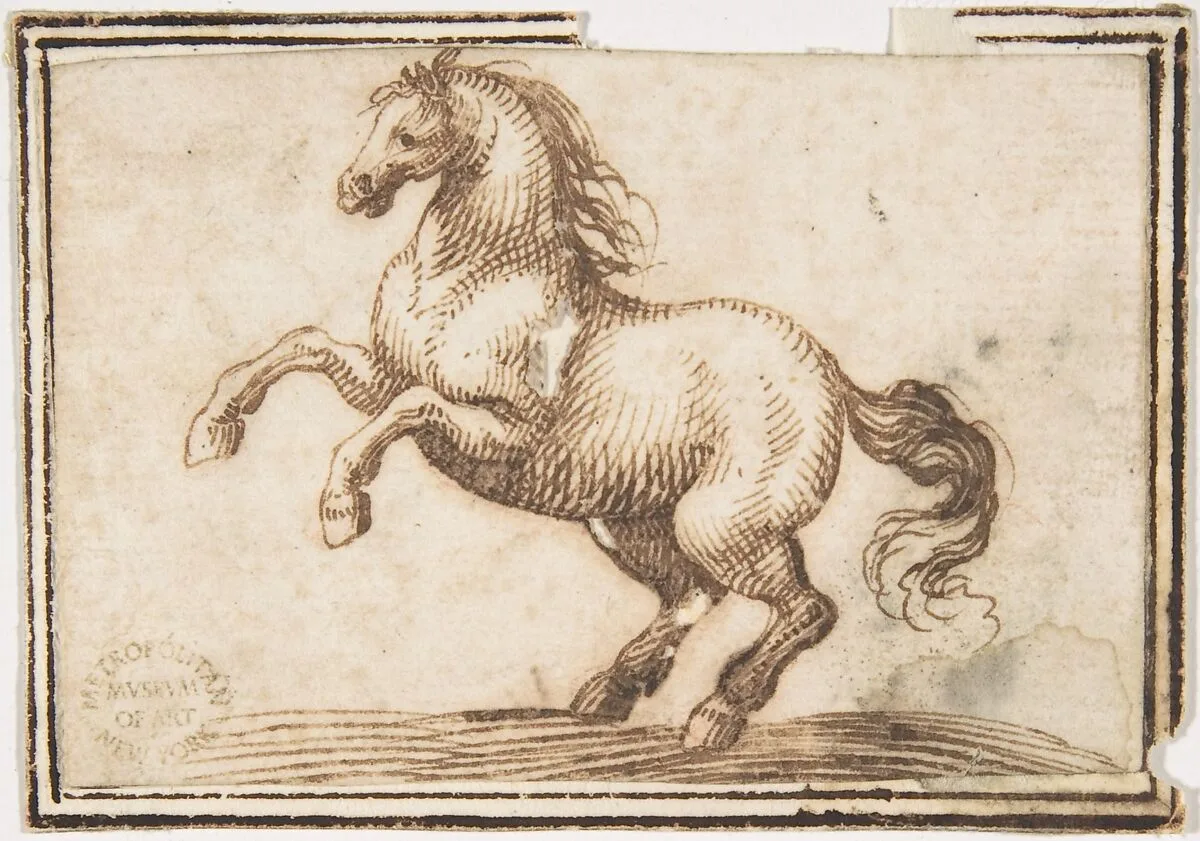 Horse — Francesco Allegrini
