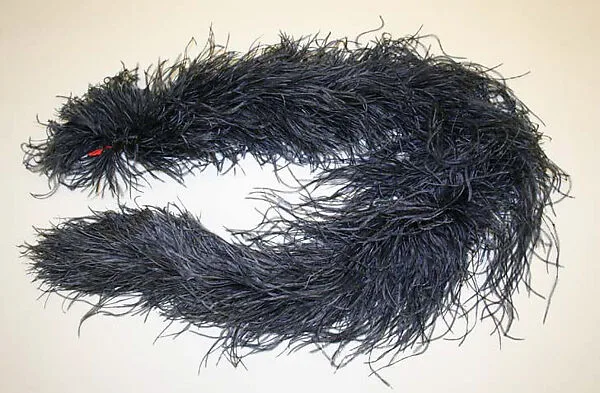 Boa — Unknown