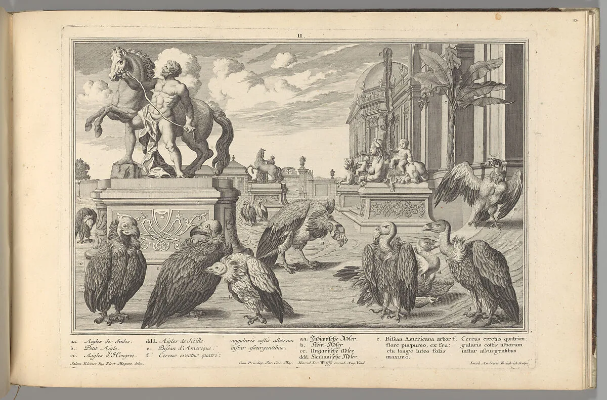 Residences Memorables de l'Incomporable Heros de Nôtre Siècle, ou Edifices et Jardins de Son Altesse Serenissime Monsigneur Le Prince Eugene François de Savoye et de Piedmont — Jakob Andreas Fridrich the Younger|Salomon Kleiner|Johann Bernhard Hattinger|Johann August Corvinus|Jakob Wangner|Georg Lichtensteger|Heirs of Jeremias Wolff