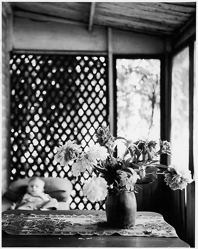 [Vase of Flowers on Table, Blurred View of Boy in Background]
