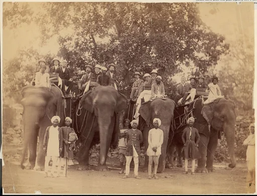 [Four Elephants with Western Travellers and Attendants, Jaipur, India]