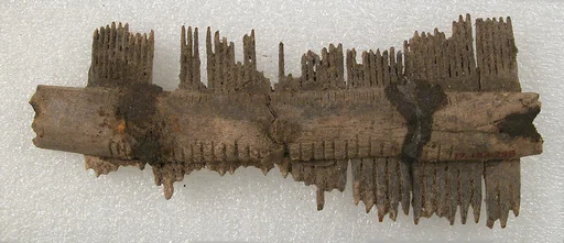 Double-Sided Comb