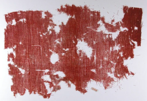 Textile Fragment