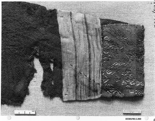 Blue Sleeve Fragment