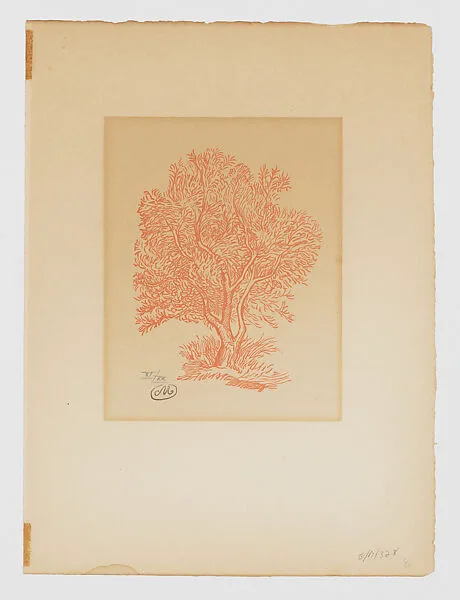 Tree — Philippe Gonin|Aristide Maillol
