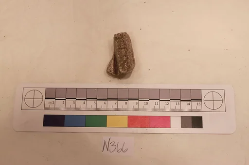 Stucco Fragment