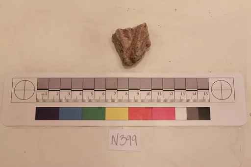Stucco Fragment