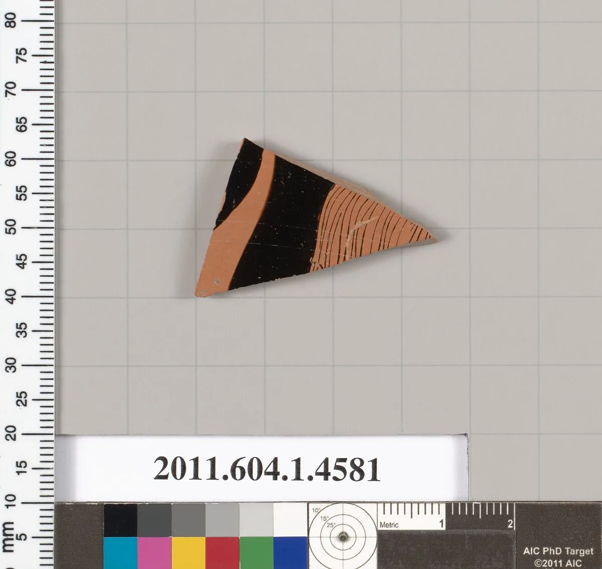 Terracotta fragment of a kylix (drinking cup) — Unknown