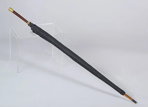 Umbrella