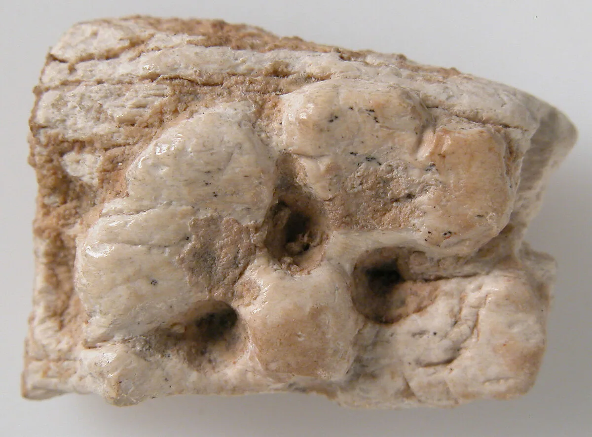 Relief Fragment with Part of a Rosette — Unknown