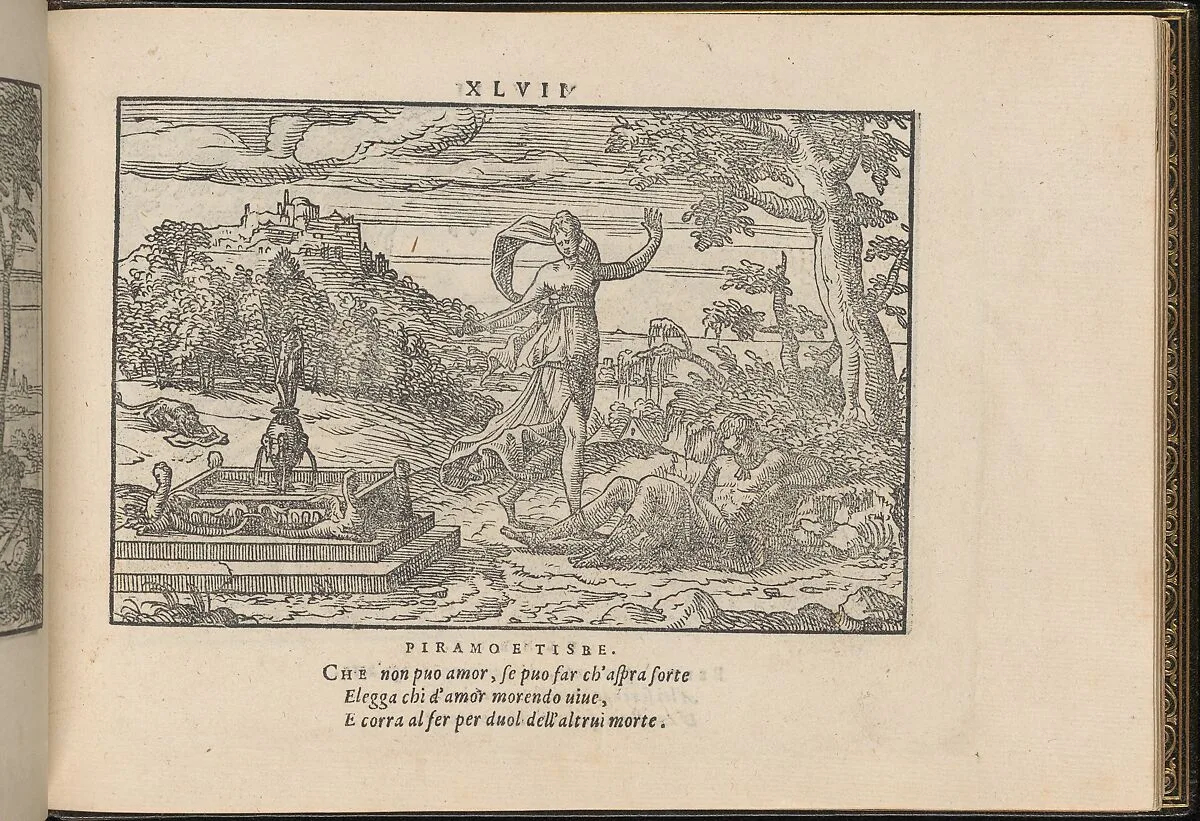 La Vera Perfettione del Disegno di varie sorti di recami, page 24 (recto) — Giovanni Ostaus|Giuseppe Salviati (Giuseppe Porta, called Il Salviati)