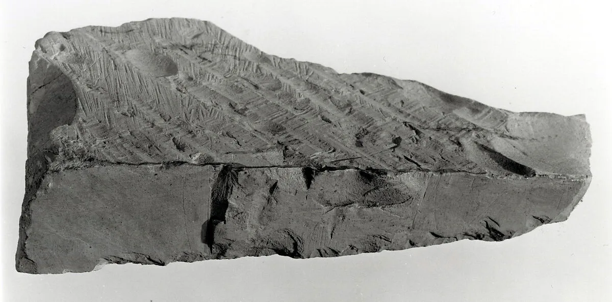 Raised relief fragment — Unknown