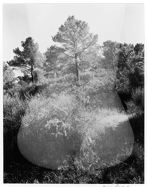 Eleanor, Aix-en-Provence — Harry Callahan