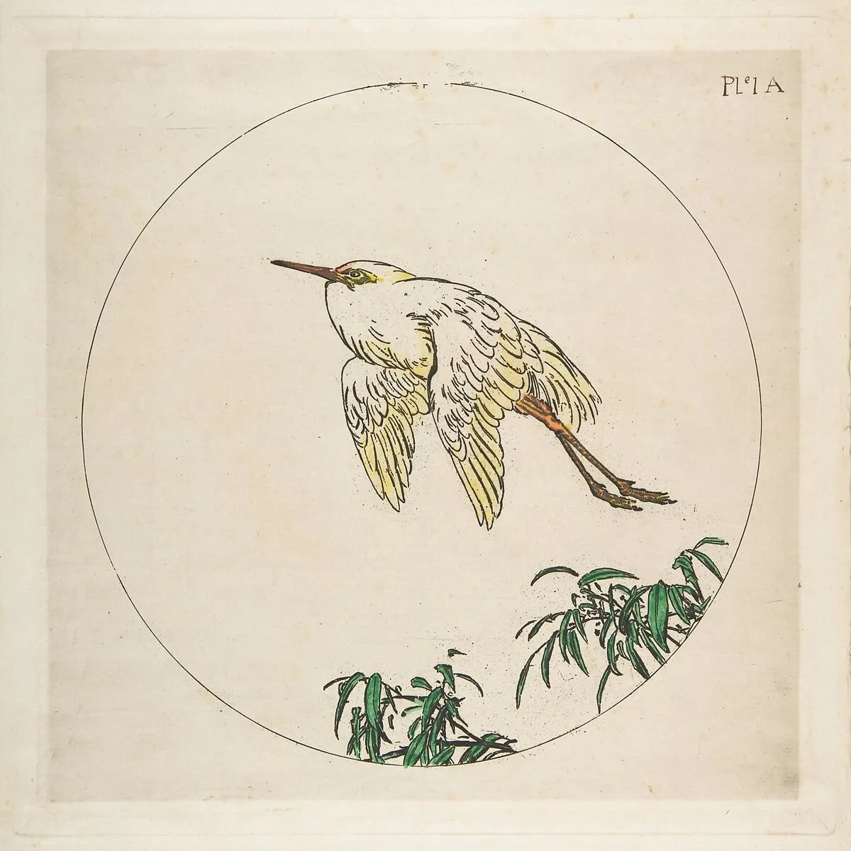 Decoration for a Plate: An Egret Flying Above Bamboo Branches — Félix Bracquemond