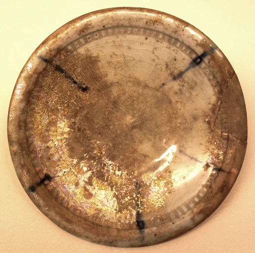 Dish