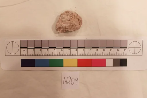 Stucco Fragment