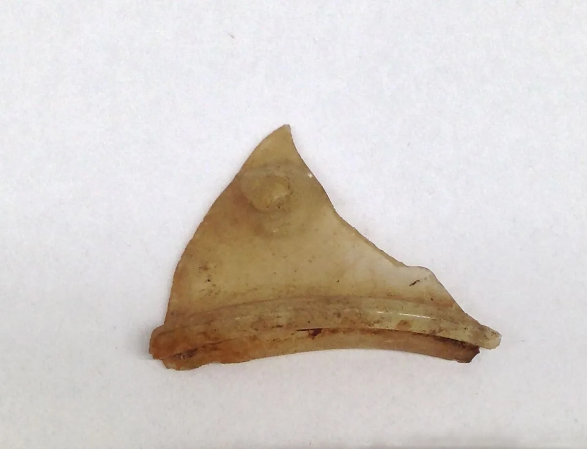 Glass Fragment — Unknown