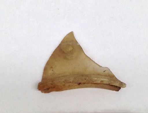 Glass Fragment