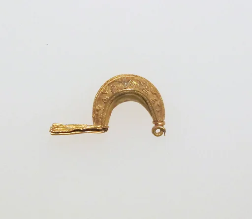 Fibula, bow-shaped