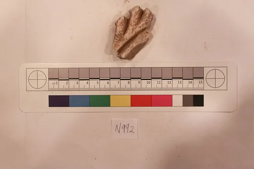 Stucco Fragment