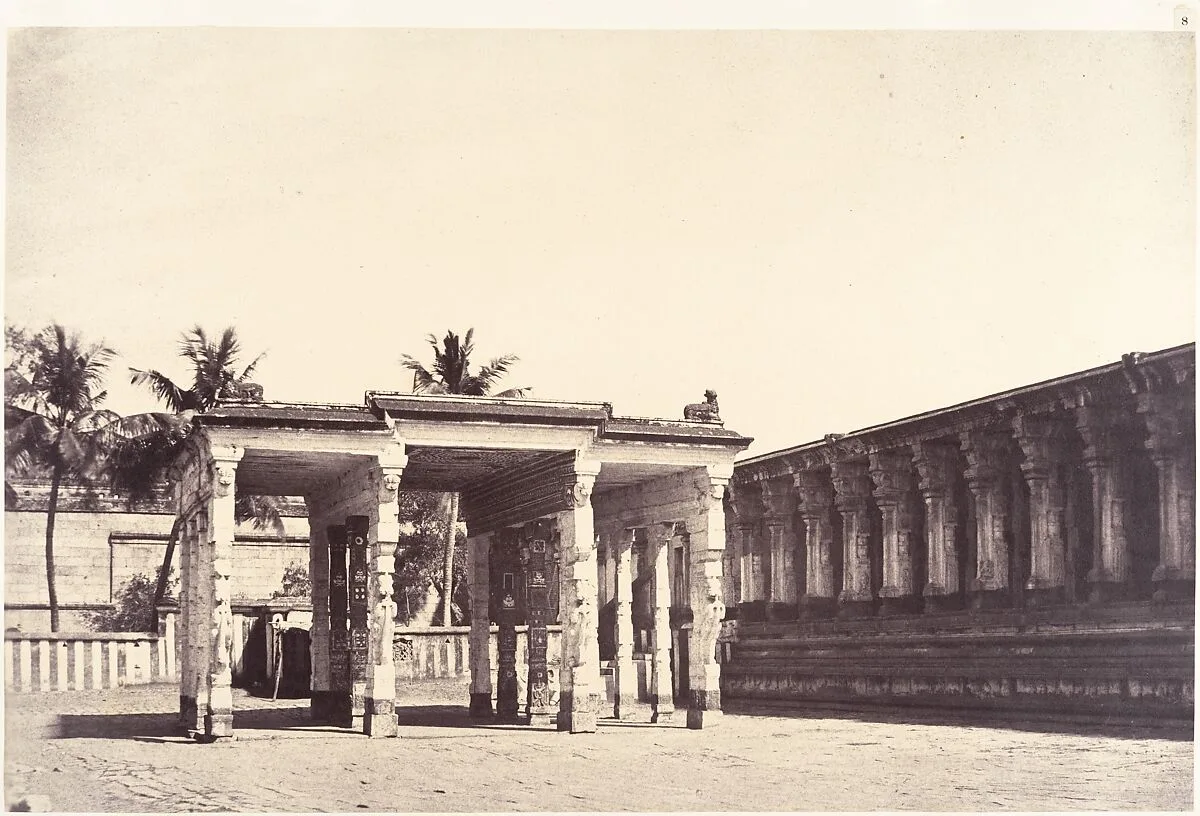 Tatta Suddhi Mundapam — Linnaeus Tripe