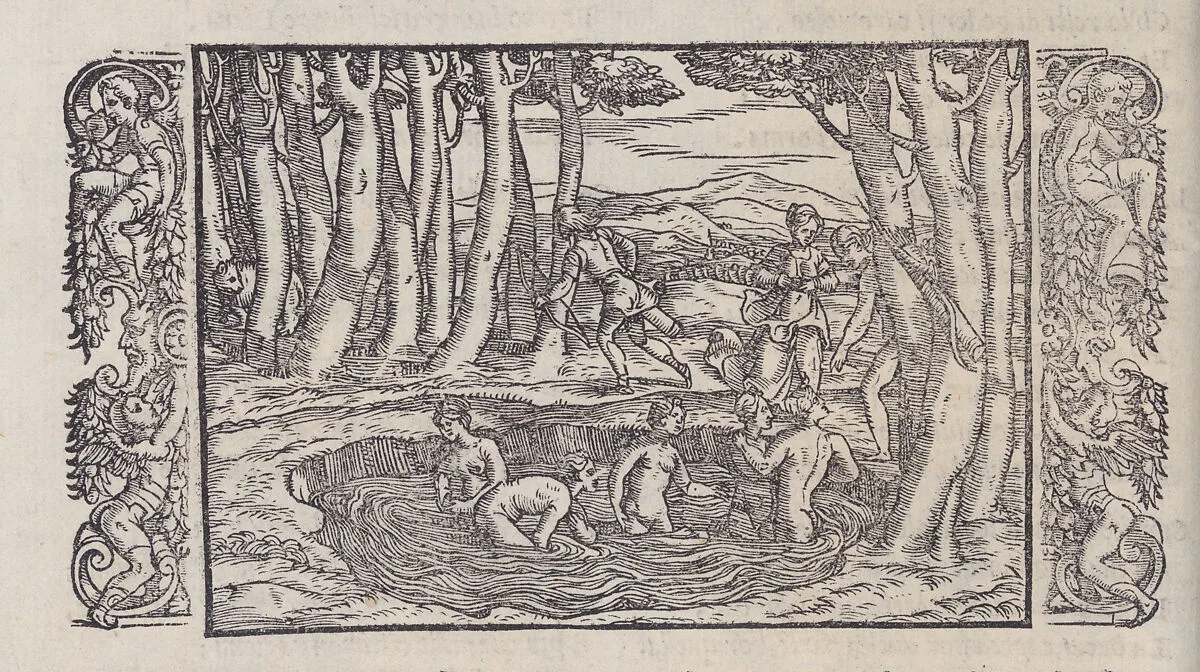 Le Trasformationi — Lodovico Dolce|Gabriele Giolito de Ferrari|Ovid|Giovanni Antonio Rusconi