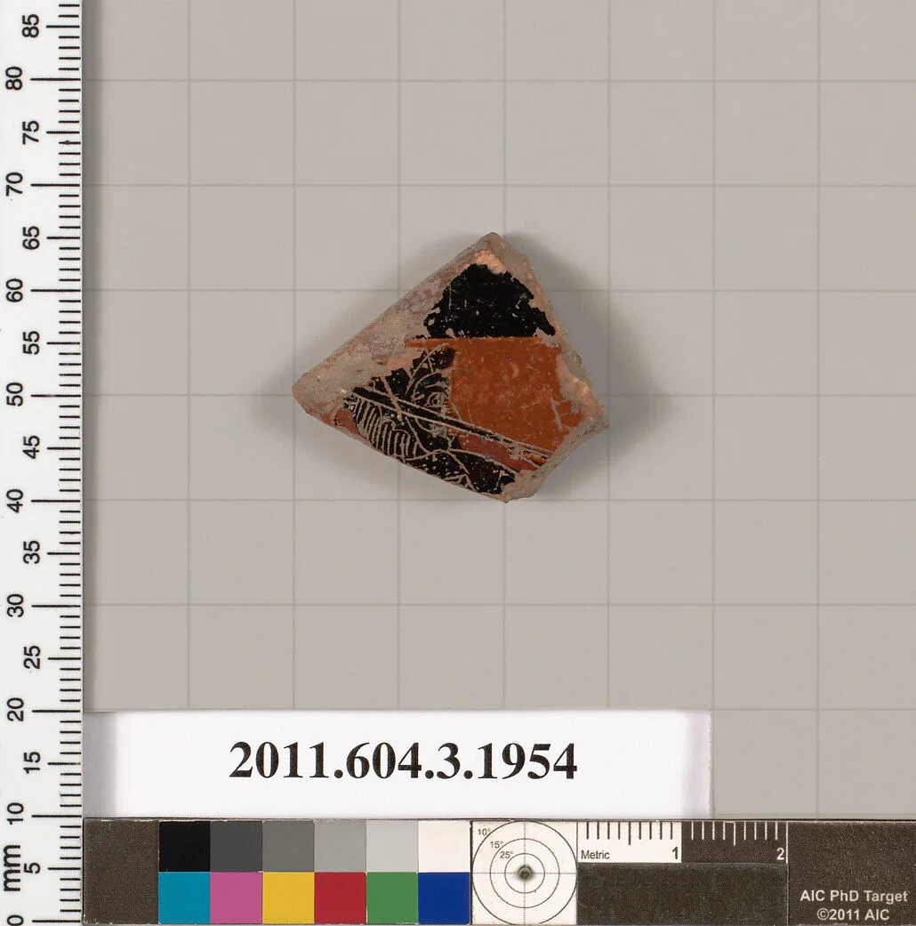 Terracotta fragment of a kylix (drinking cup) — Unknown