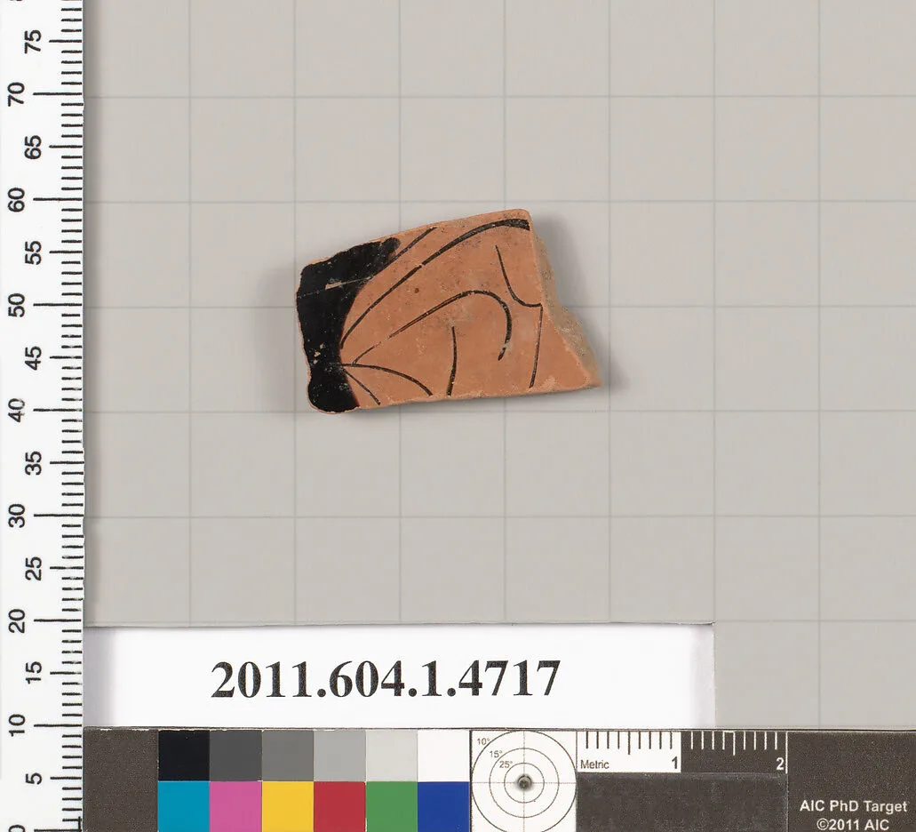 Terracotta fragment of a kylix (drinking cup) — Unknown