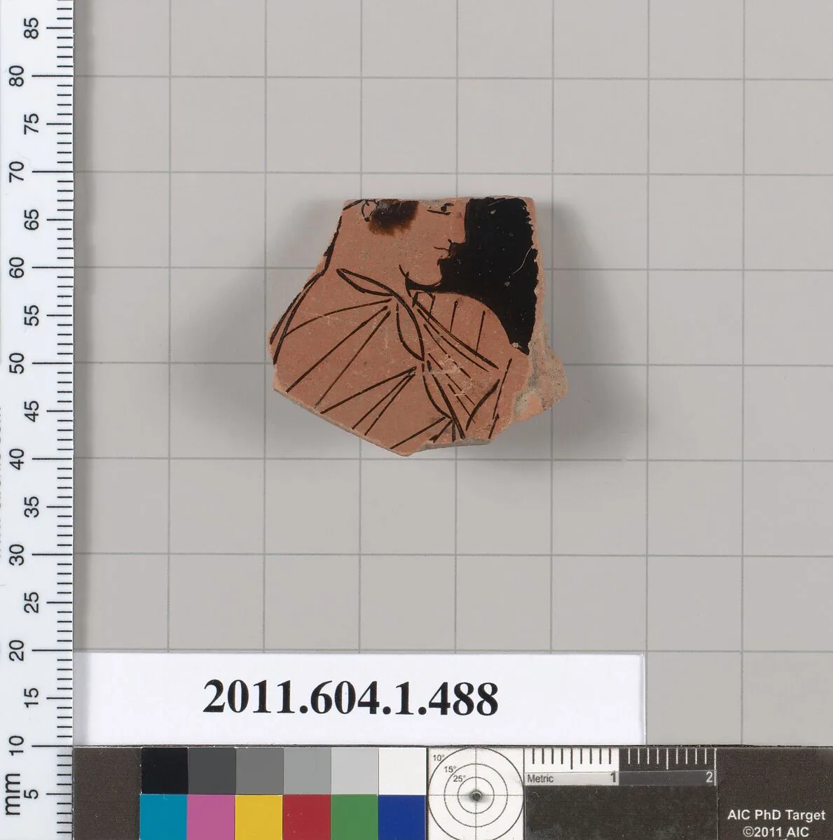 Terracotta fragment of a kylix (drinking cup) — Unknown
