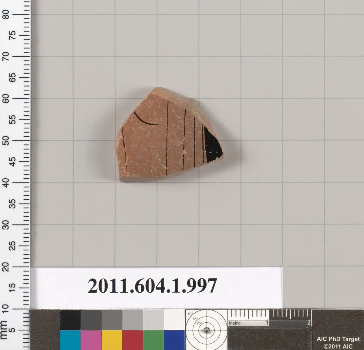 Terracotta fragment of a kylix (drinking cup) — Unknown