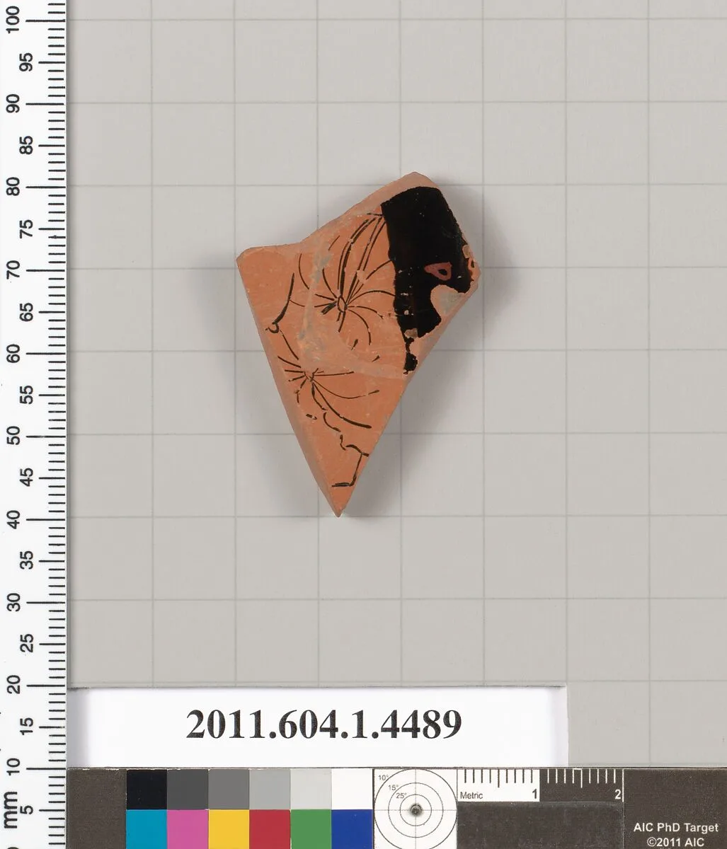 Terracotta fragment of a kylix (drinking cup) — Unknown