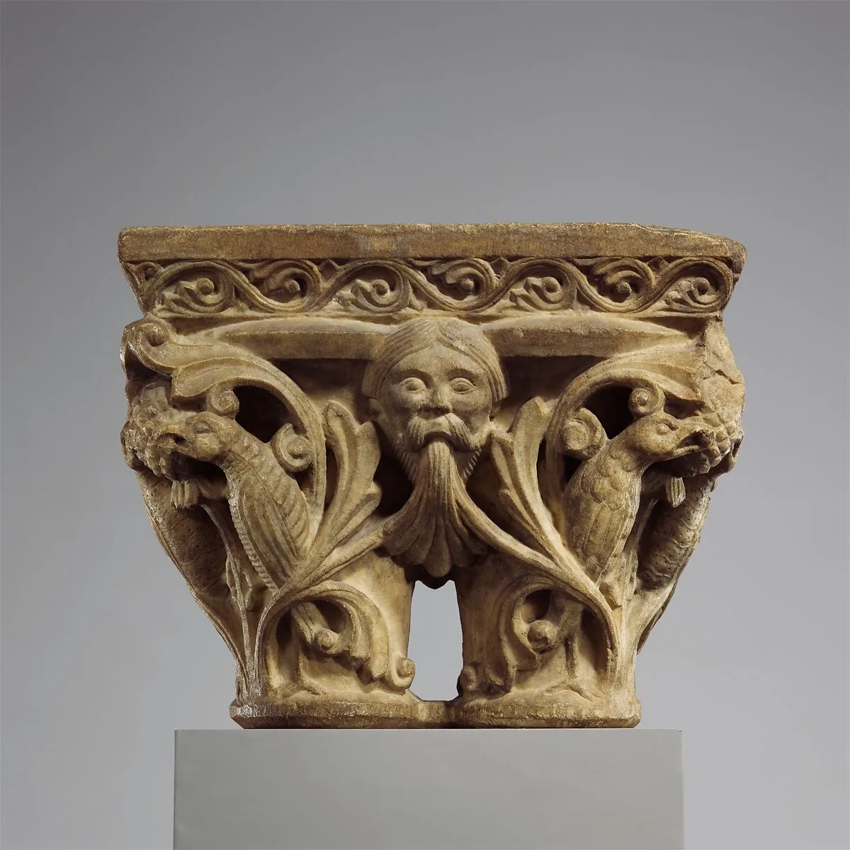 Double Capital with Masks and Birds — Unknown