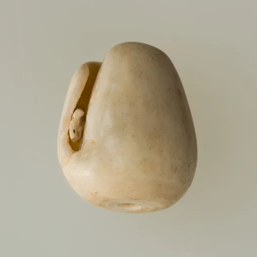 Shell pendant or bead