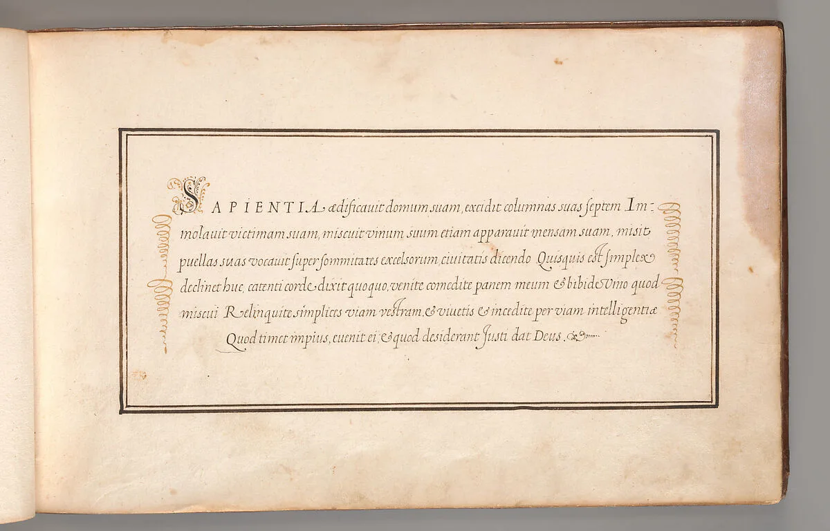 Calligraphic Exercise in Latin (Cursive Script) — Anonymous