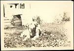 [Dog, Possibly Belonging to Hanns Skolle, on Lawn in Front of House]