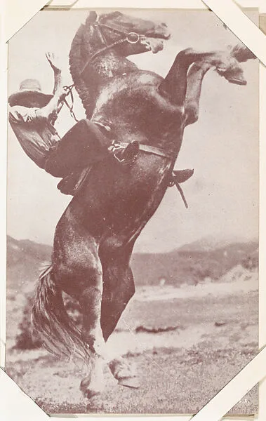 Cowboy holding on to horse rearing up from Indians and Western Historical Scenes series (W417) — Unknown