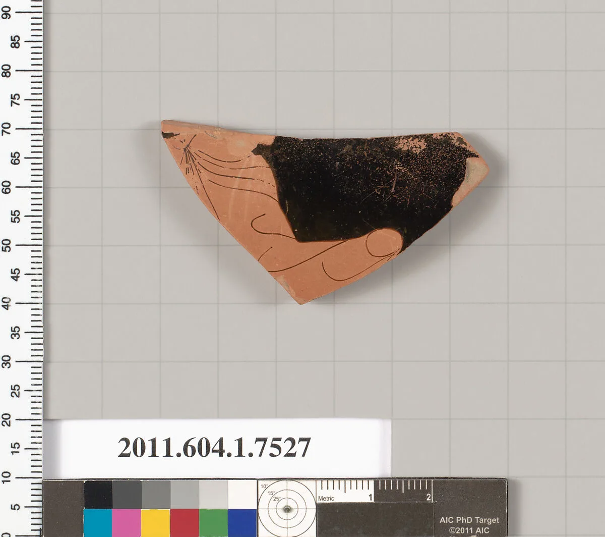 Terracotta fragment of a kylix (drinking cup) — Unknown