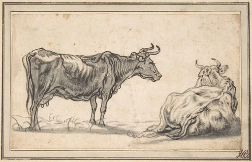 Study of Two Cows