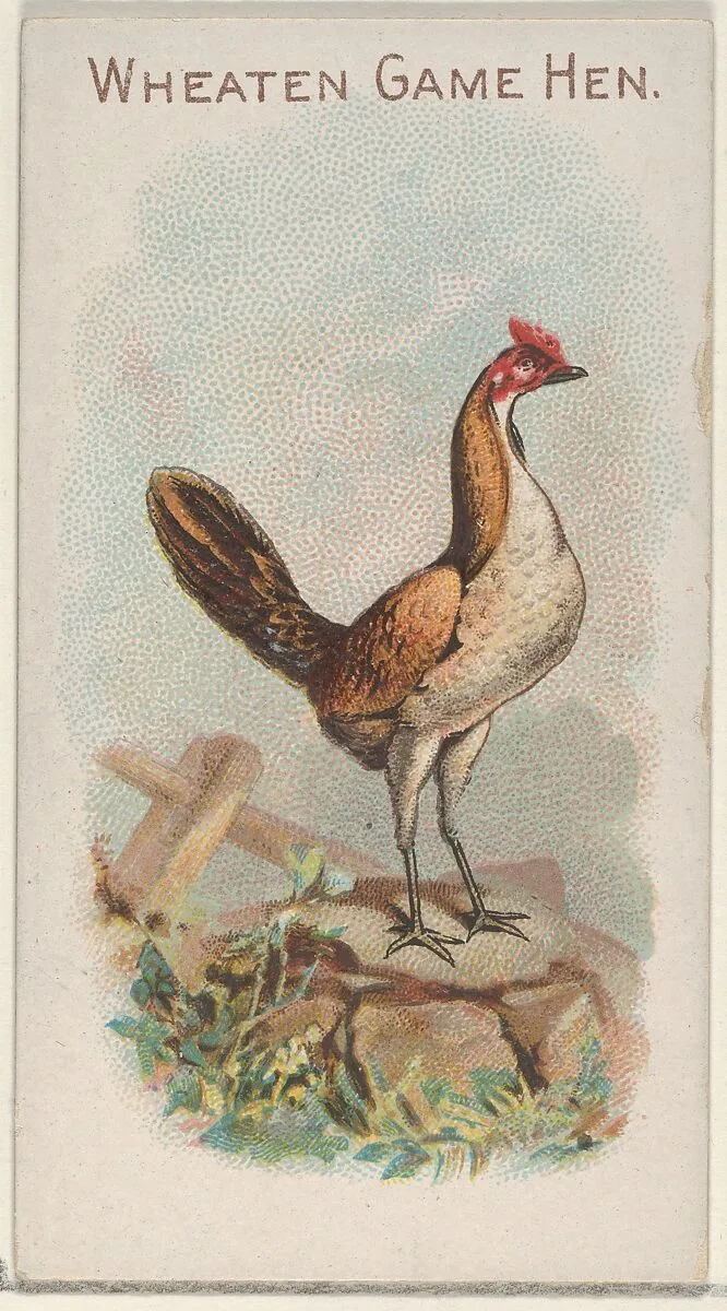 Wheaten Game Hen, from the Prize and Game Chickens series (N20) for Allen & Ginter Cigarettes — Allen & Ginter|The Gast Lithograph & Engraving Company