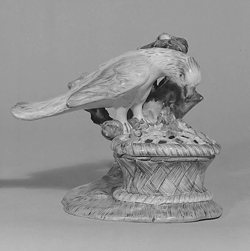 Parrot with spread wings