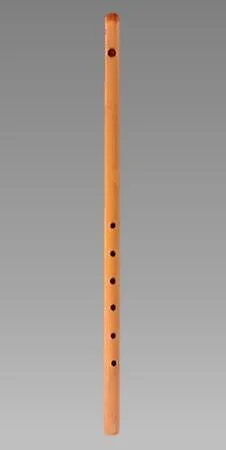 Transverse Flute