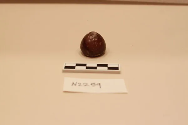 Ceramic Fragment — Unknown