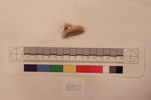 Stucco Fragment