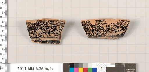 Terracotta fragments of an amphora (jar)?