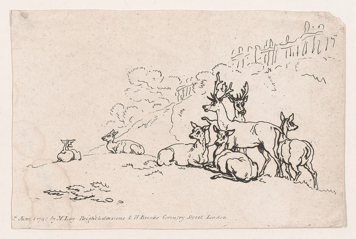 Deer (from Plate 3, Outlines of Figures, Landscapes and Cattle...for the Use of Learners) — Henry Brookes|Mrs. Lay|Thomas Rowlandson