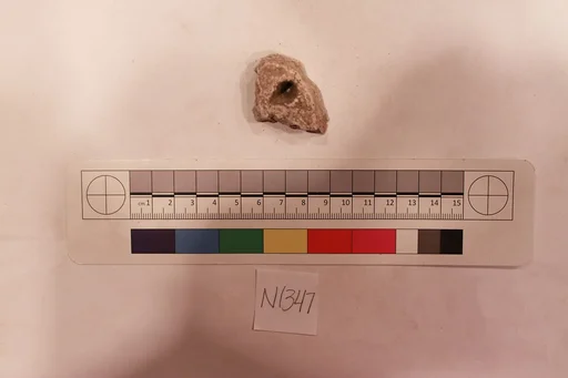 Stucco Fragment