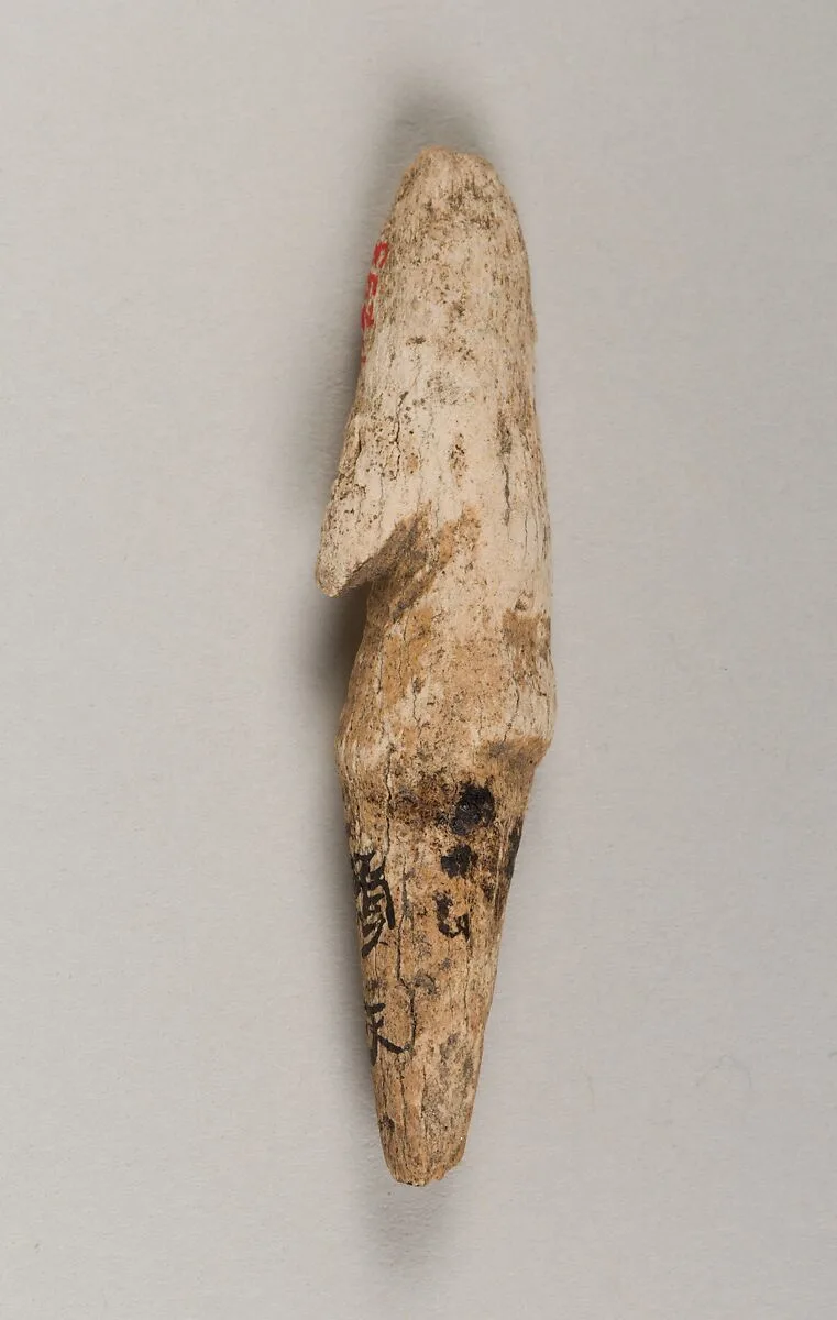 銛頭|Harpoon head — Unknown