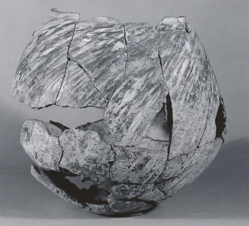 Pot