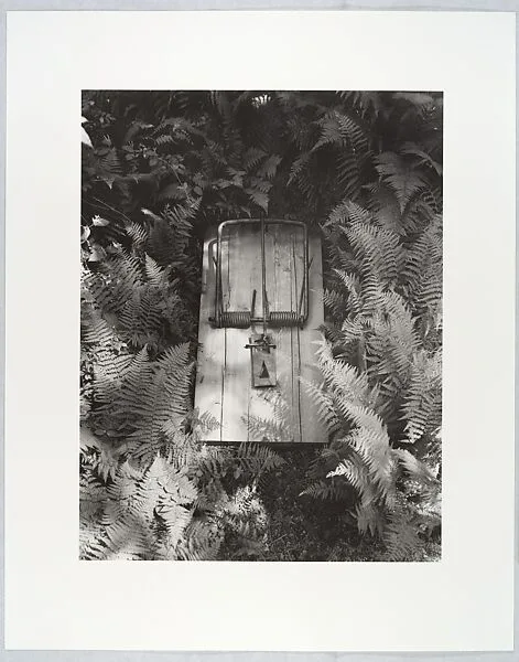 Untitled — Robert Gober