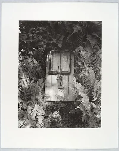 Untitled